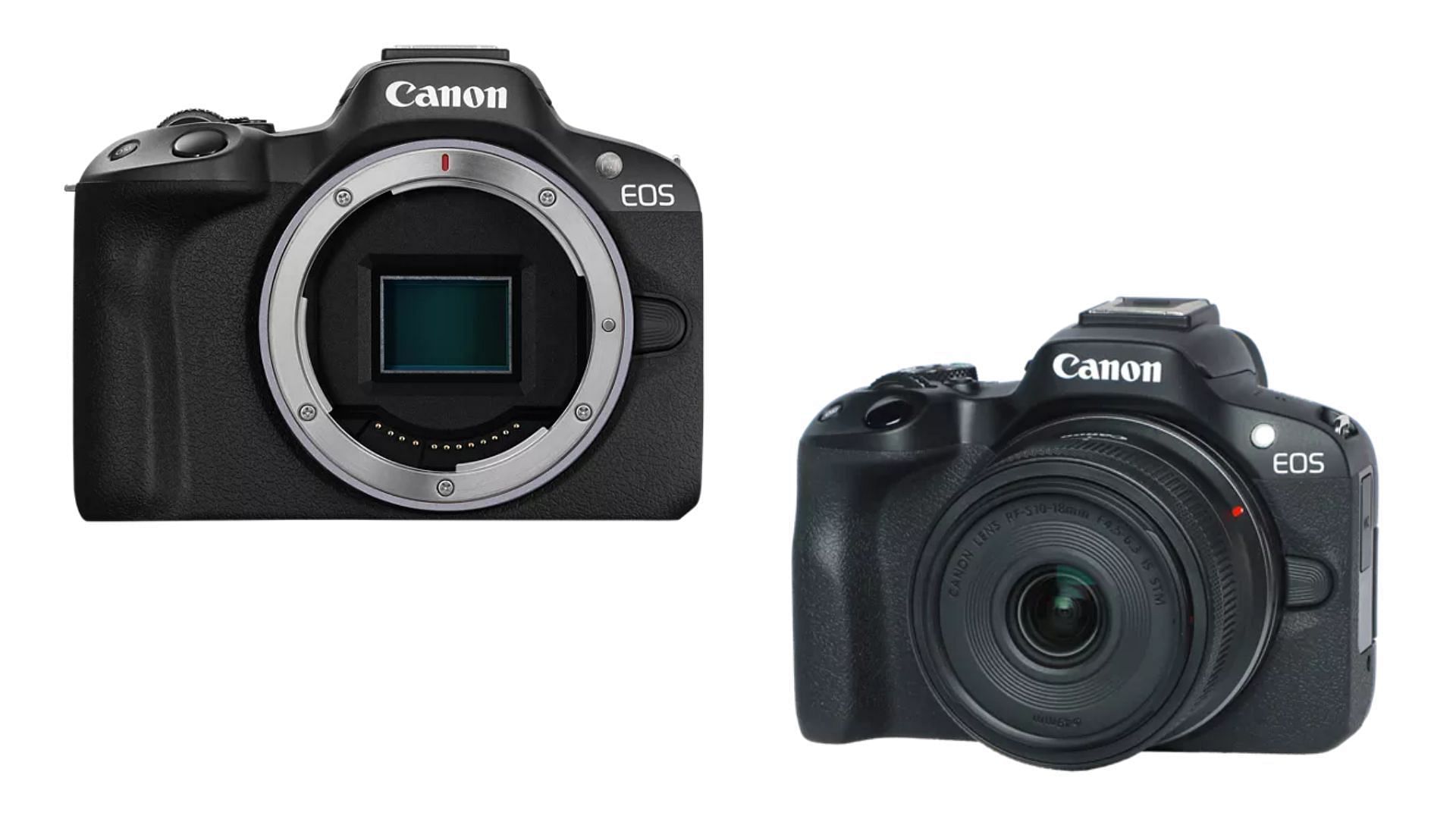 The Canon EOS R50 is one of the best valued 4K cameras (Image via Canon)